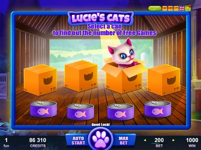 Lucie's cats — Уютный дом с разноцветными котами, тёплая домашняя атмосфера и нежные респины